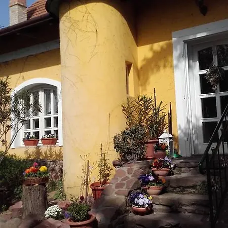 Villa-magdi 3*
