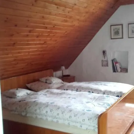 Pensiune Villa-magdi Vendeghaz