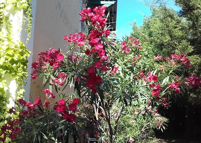 Πανσιόν Villa-magdi Vendeghaz