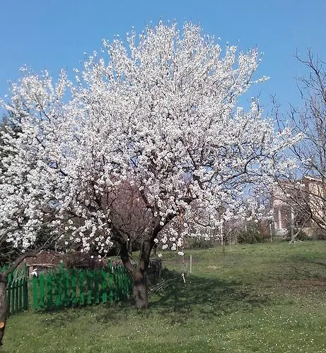 Villa-magdi Vendégház 4*