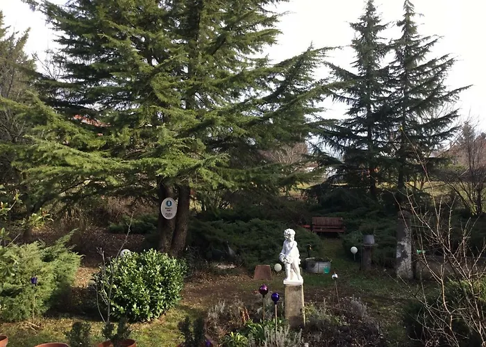 Gasthuis Villa-magdi Vendeghaz