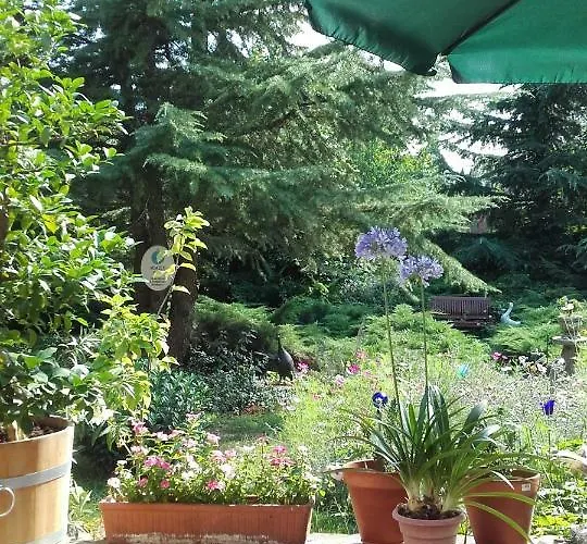 Villa-magdi 4*
